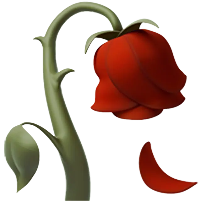 Wilted Flower