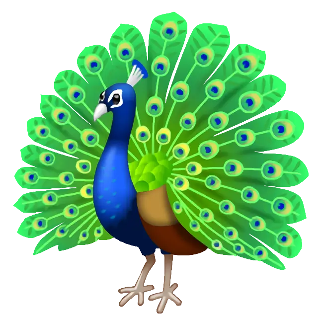 Pfau