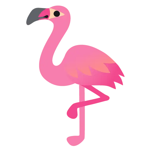 火烈鳥