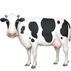 Cow