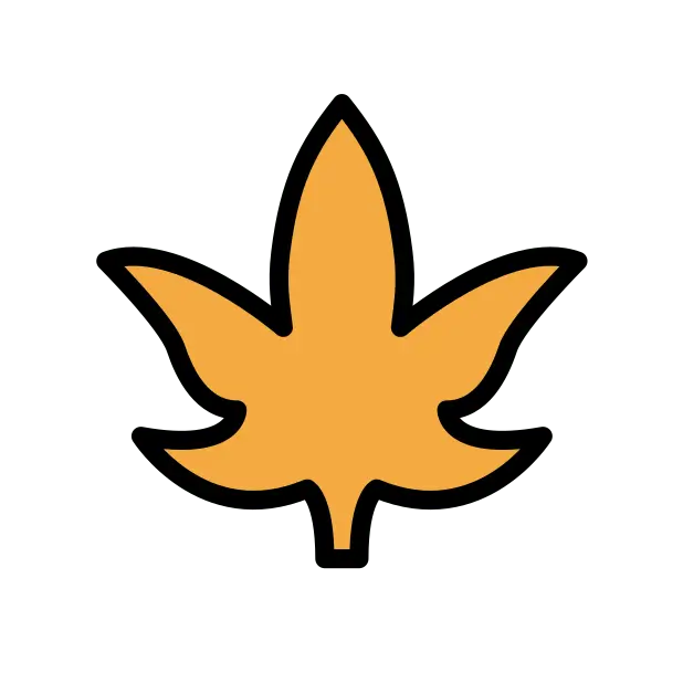 枫叶