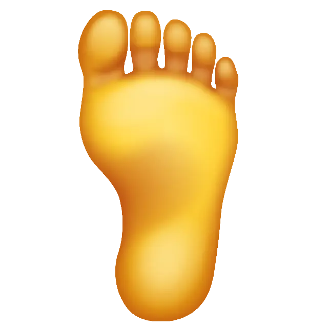 Foot
