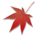 枫叶