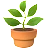 鉢植え