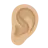Ear: Medium-Light Skin Tone