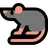 쥐