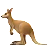 カンガルー