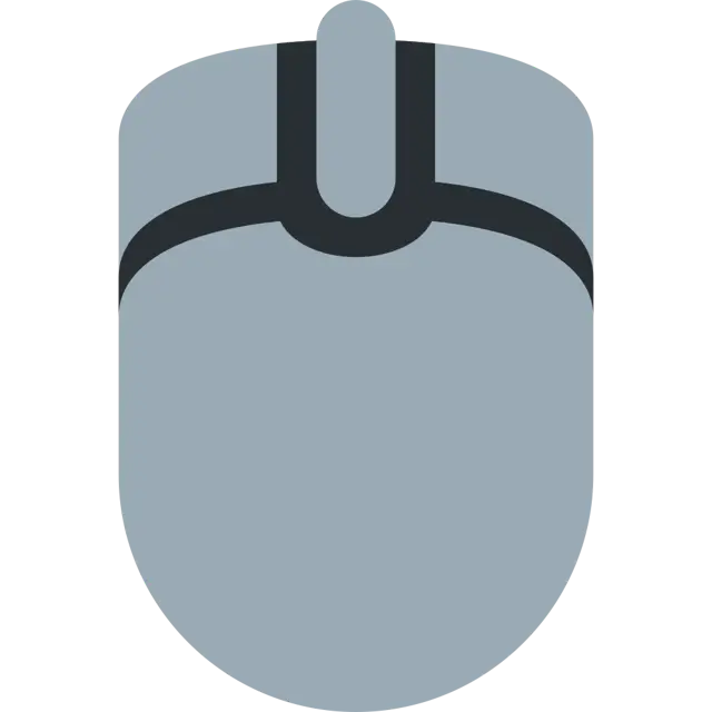 Computer Mouse