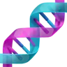 Dna