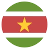 Flag: Suriname Emoji 🇸🇷 image - EmojiTwo style