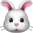 Cara de conejo
