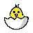 孵化ひよこ