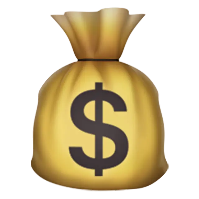 Money Bag