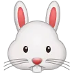 Cara de conejo