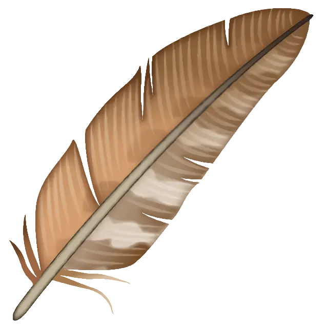 Feather