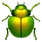 甲蟲