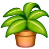 Potted Plant Emoji 🪴 image - Samsung style