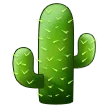 仙人掌