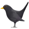 Black Bird Emoji 🐦‍⬛ image - Apple style