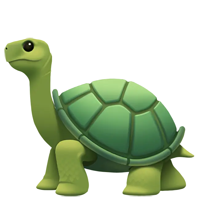 Turtle