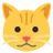 Cat Face