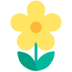 Blossom