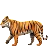 Тигр