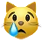 Crying Cat