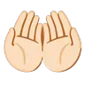 Palms Up Together: Light Skin Tone Emoji 🤲🏻 image - Google Noto Color Animated style