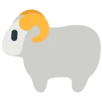 Schaf