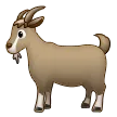 Goat