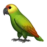 Loro