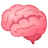 दिमाग