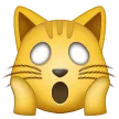 疲れた猫の顔