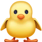 Front-Facing Baby Chick