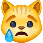Faccia di gatto che piange
