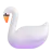 Swan