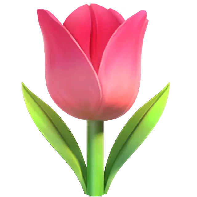 Tulip