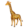 Emoji Zsiráf arc 🦒 image - Huawei Harmony OS style