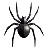 Паук