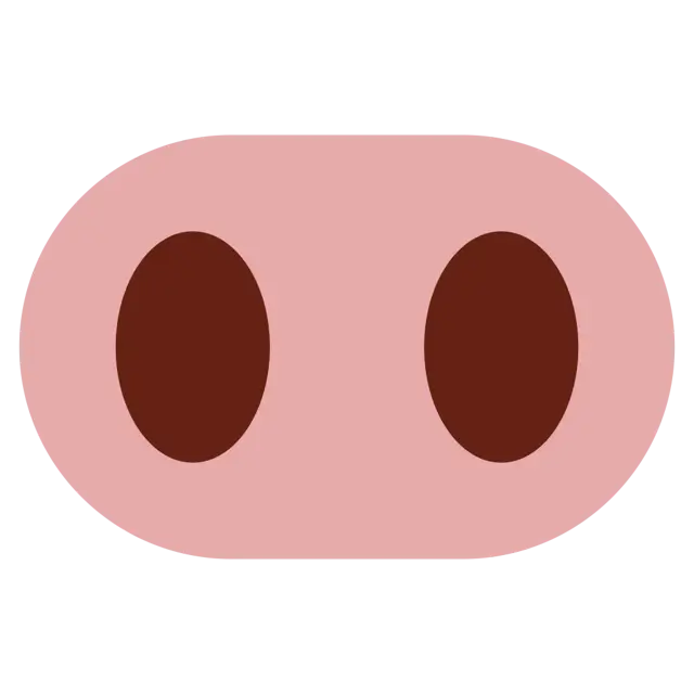 Nariz de porco