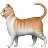 Кот