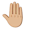 Raised Back Of Hand: Medium-Light Skin Tone Emoji 🤚🏼 image - Google Noto Color Animated style