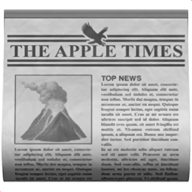 Newspaper