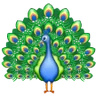 Pavão Emoji 🦚 image - Samsung style
