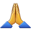 Folded Hands