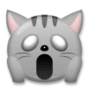 疲れた猫の顔