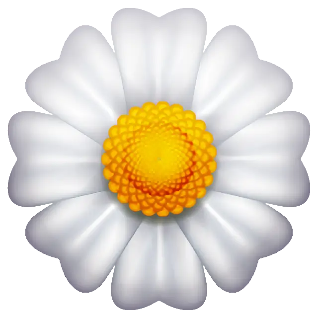 Blossom
