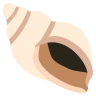 Coquille de gastéropode Emoji 🐚 image - EmojiTwo style