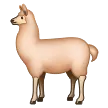 骆驼